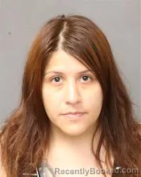 Mugshot of Alejandra Villalobos booked in Bernalillo County, New Mexico on August 24, 2026