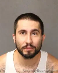Mugshot of Jeremy Brian Rael booked in Bernalillo County, New Mexico on August 25, 2026