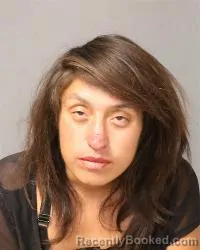 Mugshot of Desiree Elaine Fernandez booked in Bernalillo County, New Mexico on August 25, 2026