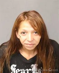 Mugshot of Sarah Autumn Dechilly booked in Bernalillo County, New Mexico on August 25, 2026