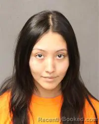 Mugshot of Anjelica Teresa Gallegos booked in Bernalillo County, New Mexico on August 25, 2026
