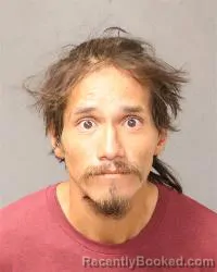 Mugshot of Dominic Stevenson booked in Bernalillo County, New Mexico on August 26, 2026