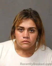 Mugshot of Breana Nichole Portillo booked in Bernalillo County, New Mexico on August 26, 2026