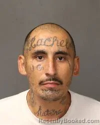 Mugshot of Matthew J Montoya booked in Bernalillo County, New Mexico on August 26, 2026