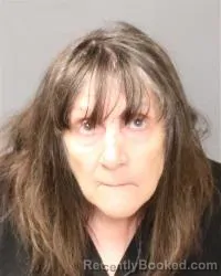 Mugshot of Karen Wells booked in Bernalillo County, New Mexico on August 27, 2026