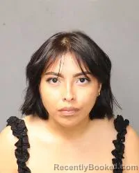 Mugshot of Shannon Thompson booked in Bernalillo County, New Mexico on August 28, 2026