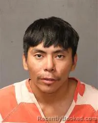Mugshot of Christian Talley booked in Bernalillo County, New Mexico on August 29, 2026