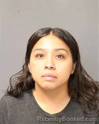 Mugshot of Adriana Salazar booked in Bernalillo County, New Mexico on August 29, 2026