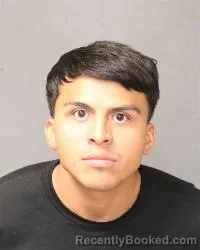 Mugshot of Chris Fernandez booked in Bernalillo County, New Mexico on August 30, 2026
