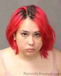 Mugshot of Alyssa Antionette Segura booked in Bernalillo County, New Mexico on August 30, 2026