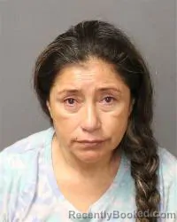 Mugshot of Anita Marisol Fernandez Valdivieso booked in Bernalillo County, New Mexico on August 31, 2026