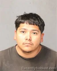 Mugshot of Cameron Gonzales booked in Bernalillo County, New Mexico on September 3, 2026