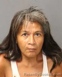 Mugshot of Elaine Fabiola Chavez booked in Bernalillo County, New Mexico on September 5, 2026