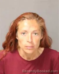 Mugshot of Deana Michelle Holt booked in Bernalillo County, New Mexico on September 27, 2026