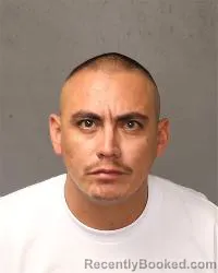 Mugshot of Julian Palomino booked in Bernalillo County, New Mexico on September 28, 2026