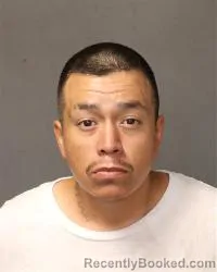 Mugshot of Mario Emilio Rodriguez booked in Bernalillo County, New Mexico on September 30, 2026