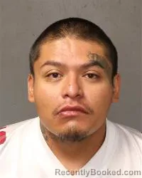 Mugshot of Bryson Nelson booked in Bernalillo County, New Mexico on October 1, 2026