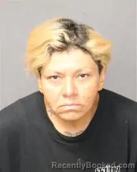 Mugshot of Sandee Elishia Vigil booked in Bernalillo County, New Mexico on October 4, 2026