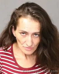 Mugshot of Michelle Lynn Garcia booked in Bernalillo County, New Mexico on October 6, 2026