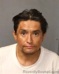 Mugshot of Robert Vincent Madrid booked in Bernalillo County, New Mexico on October 8, 2026