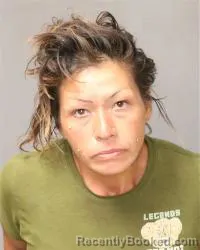 Mugshot of Lisa Louis-Lynn Luong booked in Bernalillo County, New Mexico on October 8, 2026