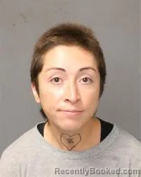 Mugshot of Alexandria Colleen Preciado booked in Bernalillo County, New Mexico on October 9, 2026