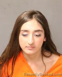 Mugshot of Mila Stefanovic booked in Bernalillo County, New Mexico on October 10, 2026
