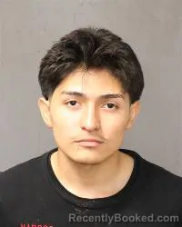 Mugshot of Angel Cruz booked in Bernalillo County, New Mexico on October 11, 2026