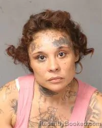 Mugshot of Angelina Fierro booked in Bernalillo County, New Mexico on October 12, 2026