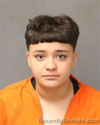 Mugshot of Makenzie Ritamarie Vargas-Salazar booked in Bernalillo County, New Mexico on October 14, 2026