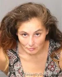Mugshot of Desiree May Dinkle booked in Bernalillo County, New Mexico on October 15, 2026