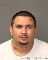 Mugshot of Fabian B Silva booked in Bernalillo County, New Mexico on October 16, 2026