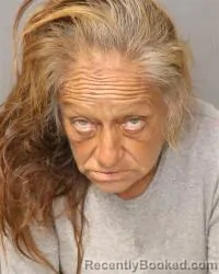 Mugshot of Heidi Romero booked in Bernalillo County, New Mexico on October 16, 2026