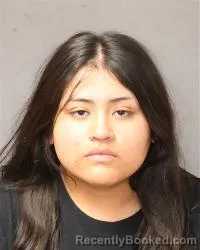 Mugshot of Cristina Martinez booked in Bernalillo County, New Mexico on October 17, 2026