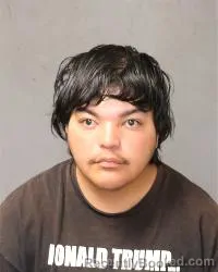 Mugshot of Louie Griego booked in Bernalillo County, New Mexico on October 17, 2026
