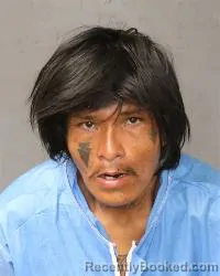 Mugshot of Roman Roy Lee booked in Bernalillo County, New Mexico on October 19, 2026