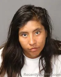 Mugshot of Phrankkie Elation D'Amour Pawlowski booked in Bernalillo County, New Mexico on October 23, 2026
