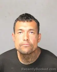 Mugshot of Issac O Vega booked in Bernalillo County, New Mexico on October 24, 2026