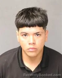 Mugshot of Carlo J Alvarez Trujillo booked in Bernalillo County, New Mexico on October 24, 2026
