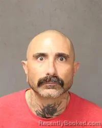 Mugshot of Roy Pedersen booked in Bernalillo County, New Mexico on October 24, 2026