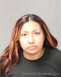 Mugshot of Noelle Valdez booked in Bernalillo County, New Mexico on October 25, 2026