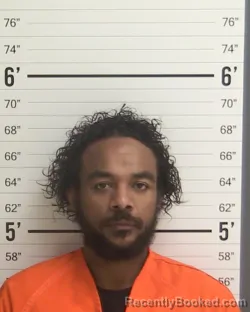 Booking photo from Curry County, New Mexico