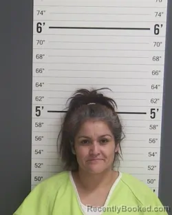 Mugshot of IRIS CASTRO