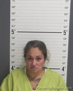 Mugshot of DELIA ROSE VILLANES