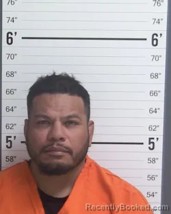 Mugshot of NIKKO PENATI NATHAN