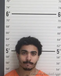 Booking photo from Curry County, New Mexico