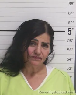 Mugshot of ELVIRA PELAYO-GARCIA