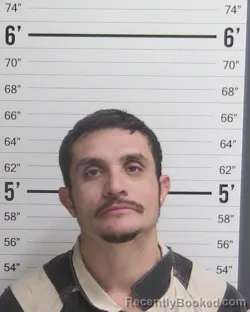 Mugshot of JIMMY DAVID MAES