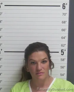 Mugshot of LINDSY L PETNER