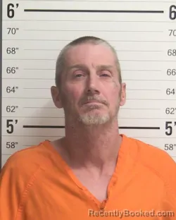 Mugshot of KELLY MILES CARTER